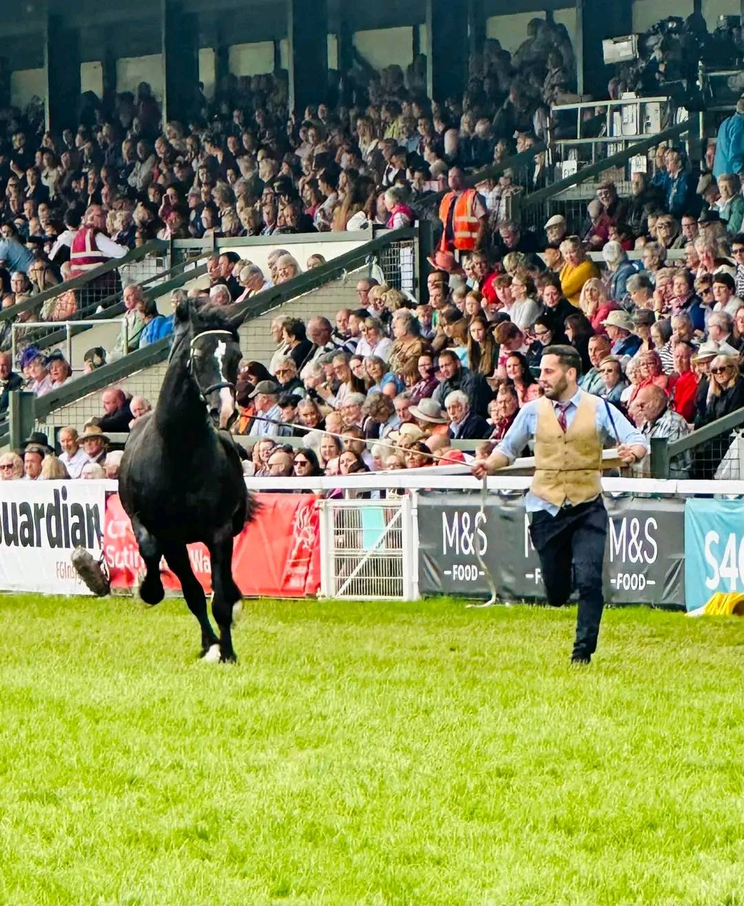 royal-welsh-show-2026-join-us-for-the-next-royal-welsh-show-from