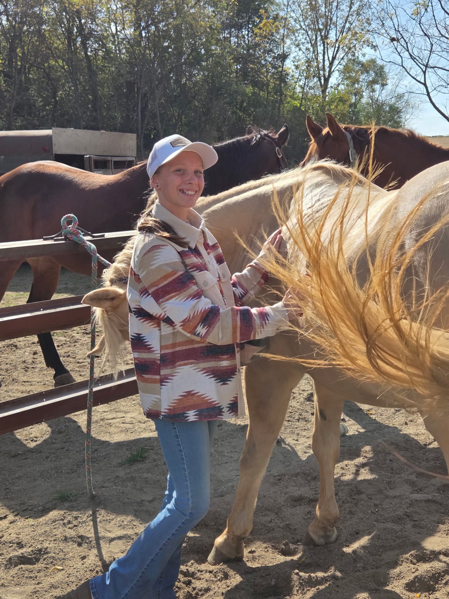 Pale Palomino Equine, LLC... - Pale Palomino Equine, LLC