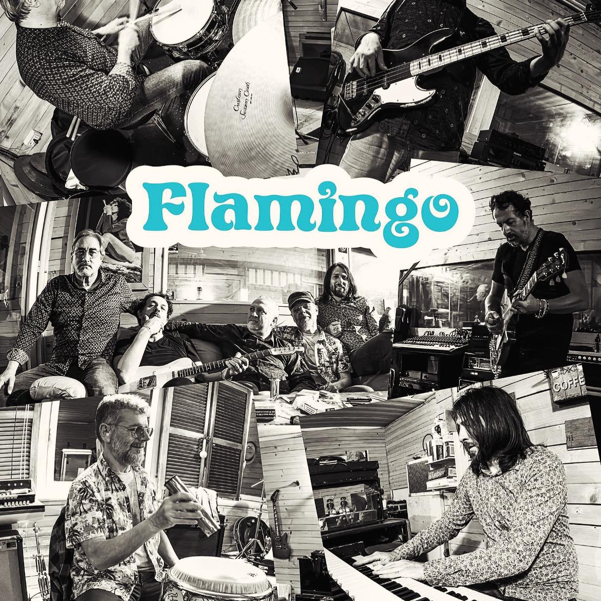 Flamingo original band | Macerata