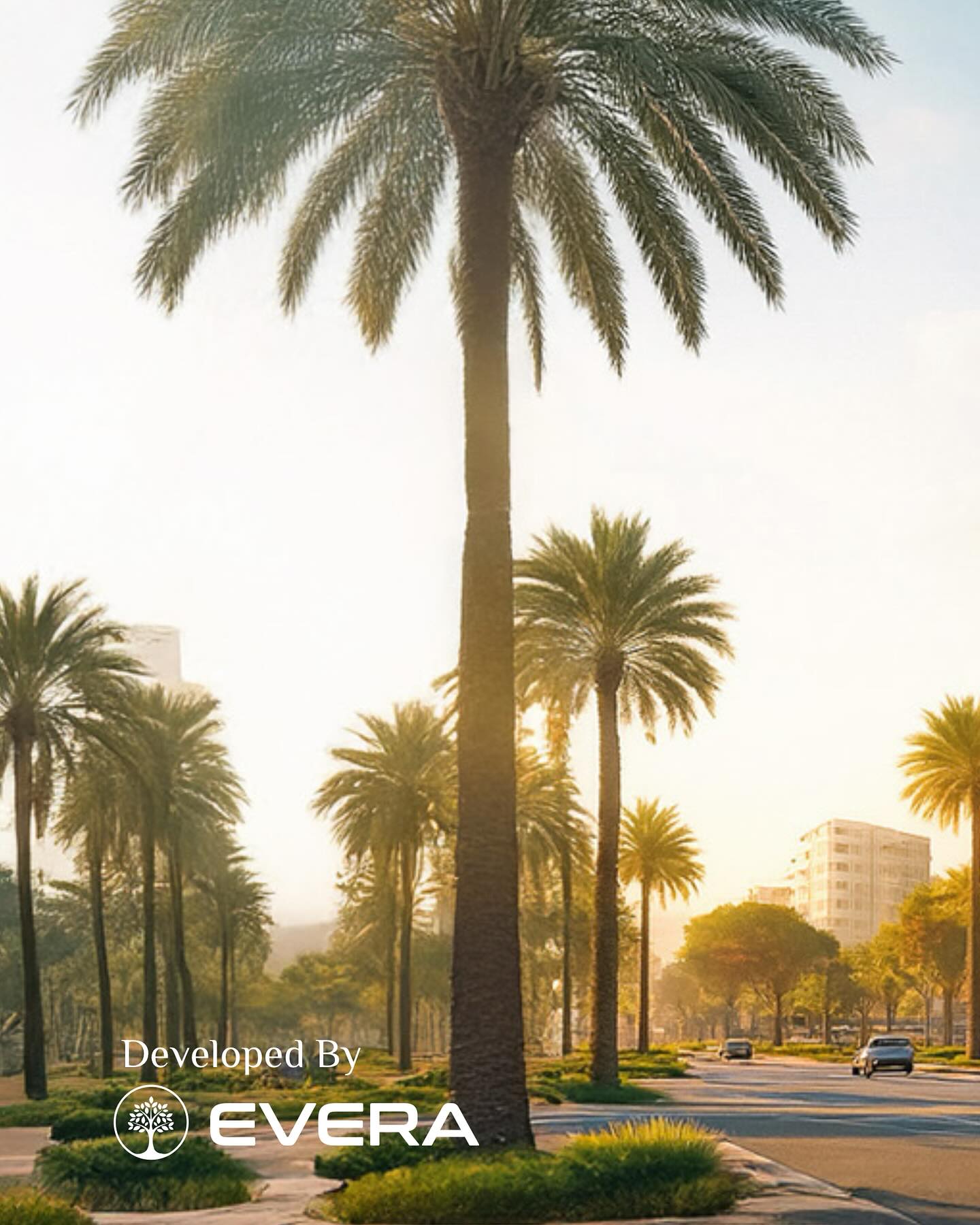 Evera - Evera Developments , New Project in DWC We’re proud to ...