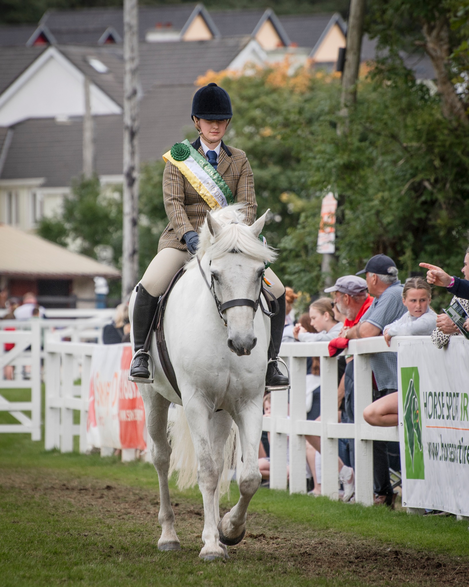 Connemara - 2016 vs 2026 Ridden Champion was Derrivane Boy (Canal Laura ...