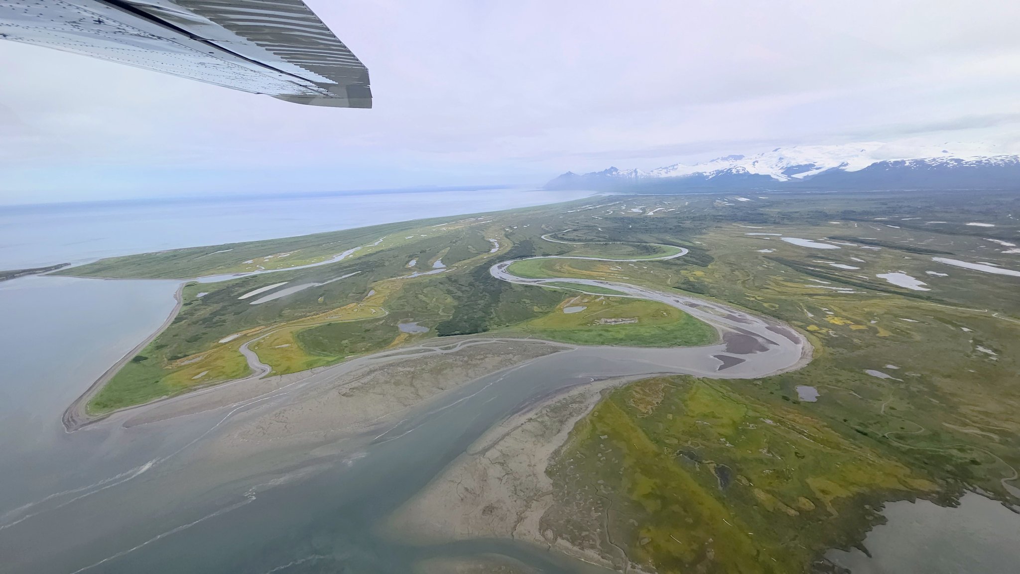 Cook Inlet Adventures