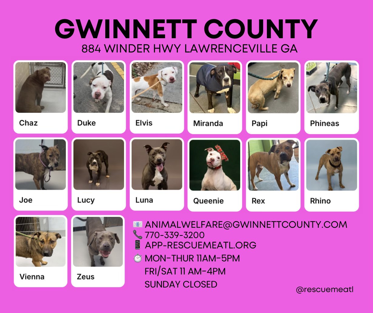 RescueMeATL Crossposting Group | # **GWINNETT COUNTY- URGENT | Facebook