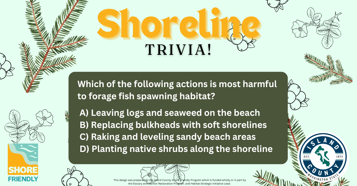 Island - Which of the following actions is most harmful to forage fish ...