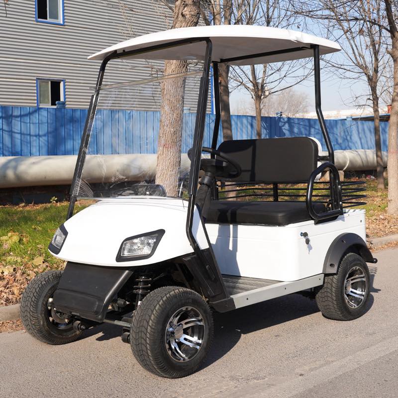 Our fun, eco-friendly electric four-wheeler with a cargo box is ready ...
