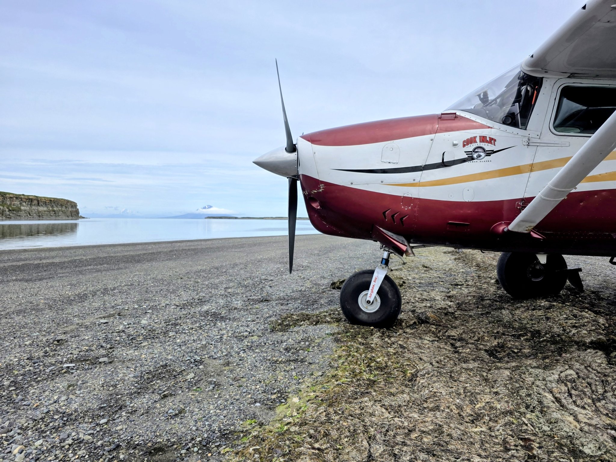 Cook Inlet Adventures