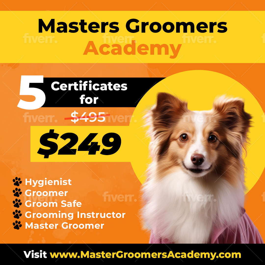 Curated visual reference: Grooming Certification For Experienced Groomers Reference: International