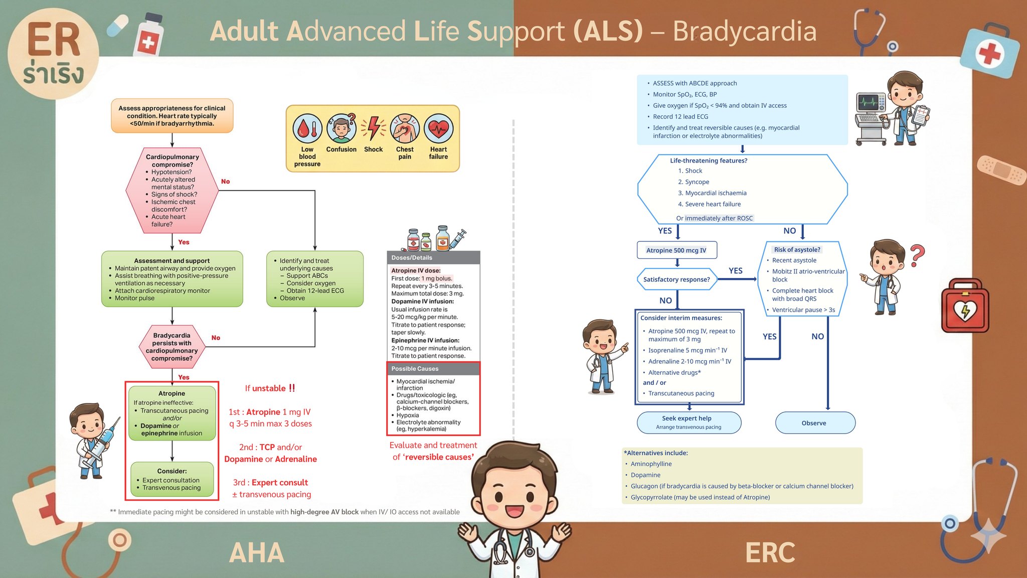 ER ร่าเริง - 🐢 2025 Adult Bradycardia Algorithms : AHA vs... | Facebook