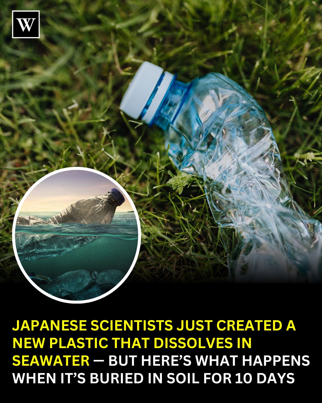 Webpreneurships - Plastics have shaped our modern world, but they’ve ...