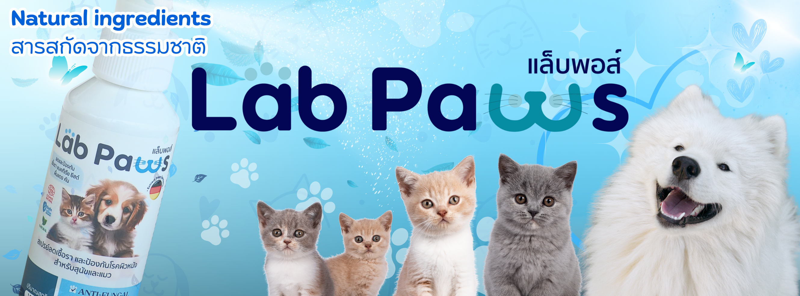 Lab Paws แล็บพอส์ | Bangkok