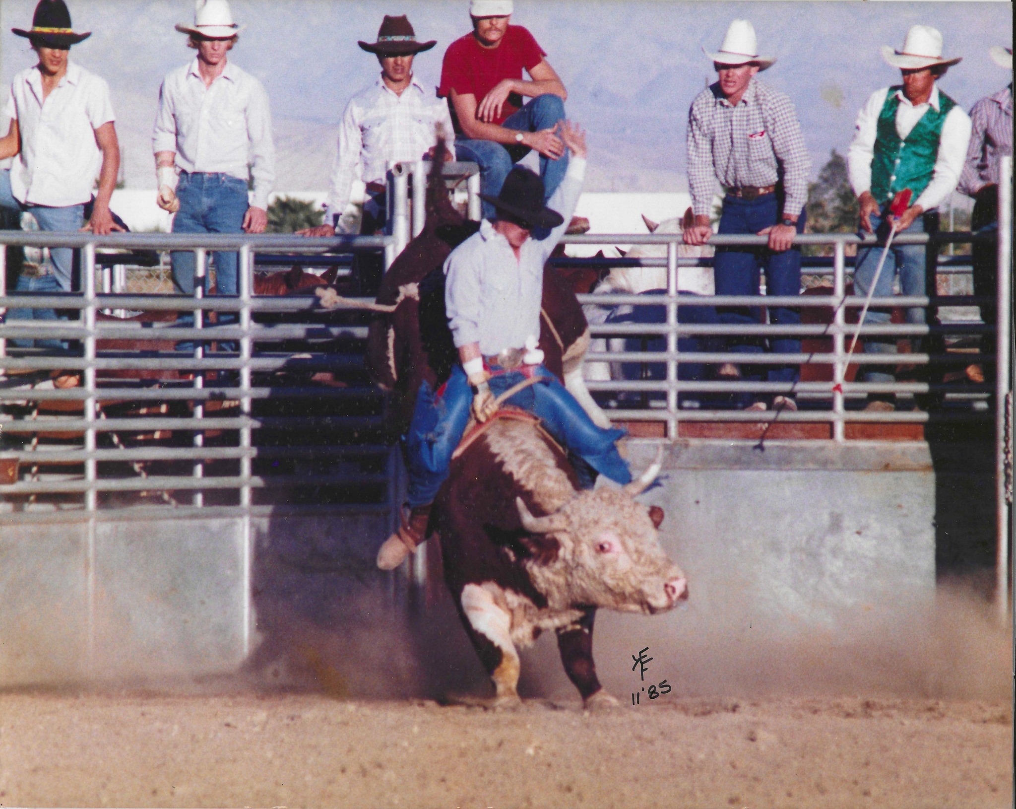 Re Ride Cattle Co. | Chuluota FL