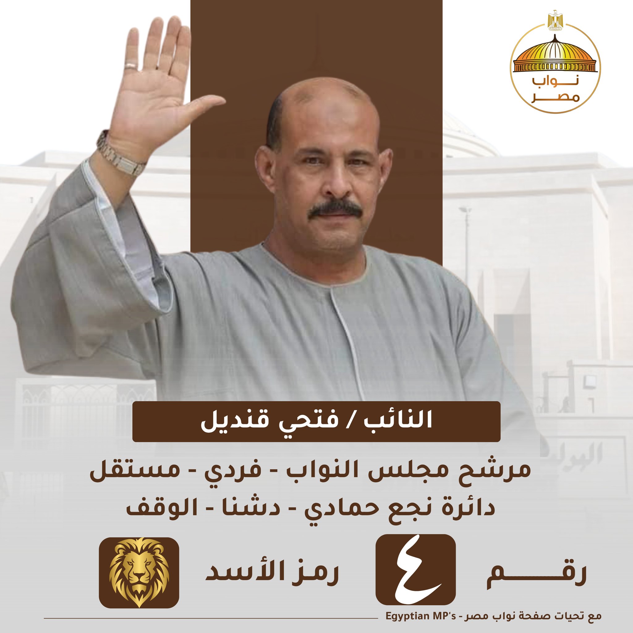 نواب مصر - Egyptian MP's