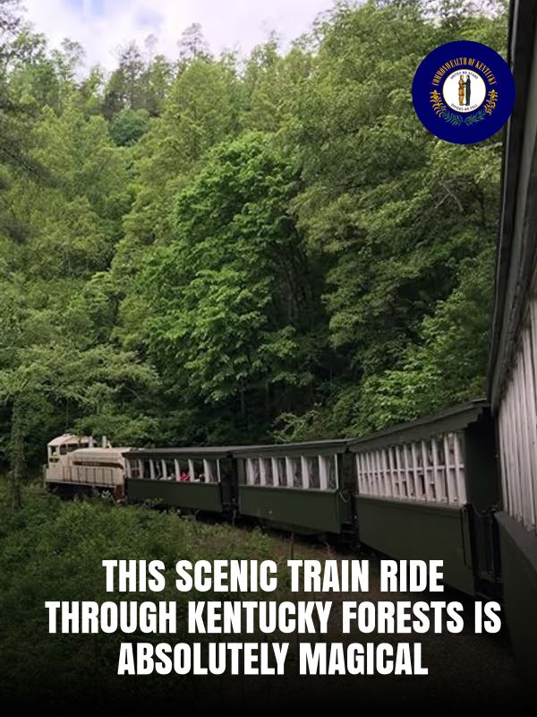 I Love - This Scenic Train Ride Through Kentucky Forests Is Absolutely ...