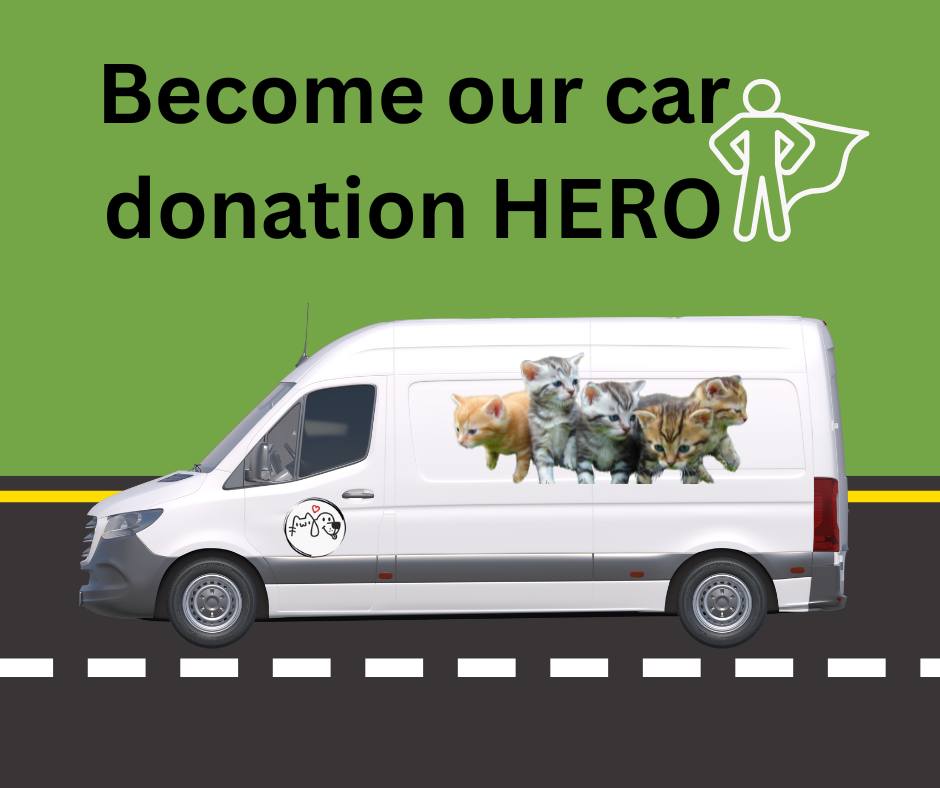 Heart - 🚐 We Need a Van—Can You Help? 🐱 We are in desperate need of a ...