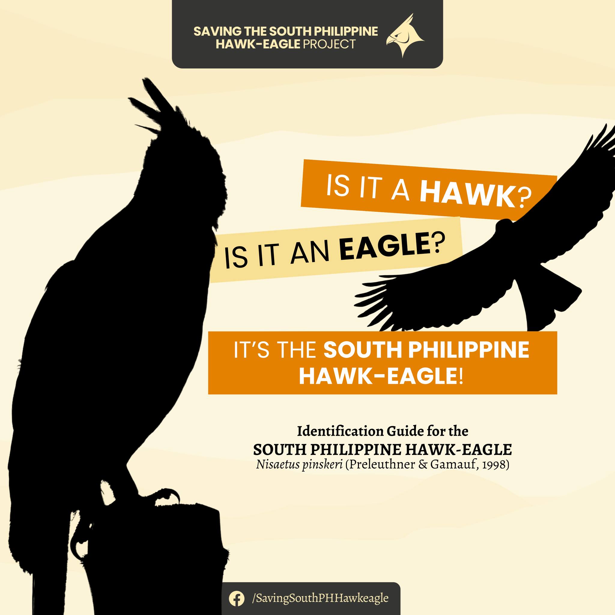 Saving the South PH Hawk Eagle Project