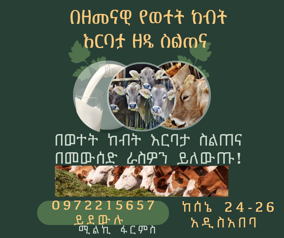 Milky - 📚🐄 በዘመናዊ የወተት ከብት እርባታ ፍላጎት ላላችሁ ስልጠና አዘጋጅተናል በስልጠናው ላይ: 🐄 በረት ...