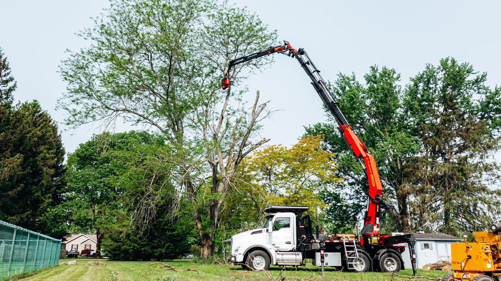 First State Tree Experts | Laurel DE