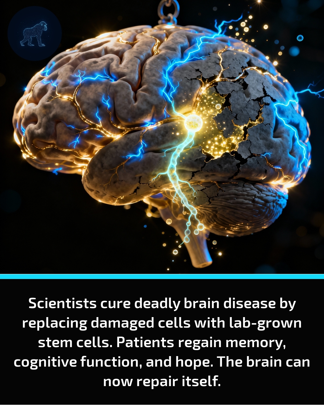 Evolved Chimp - Your brain might be able to heal itself... | Facebook