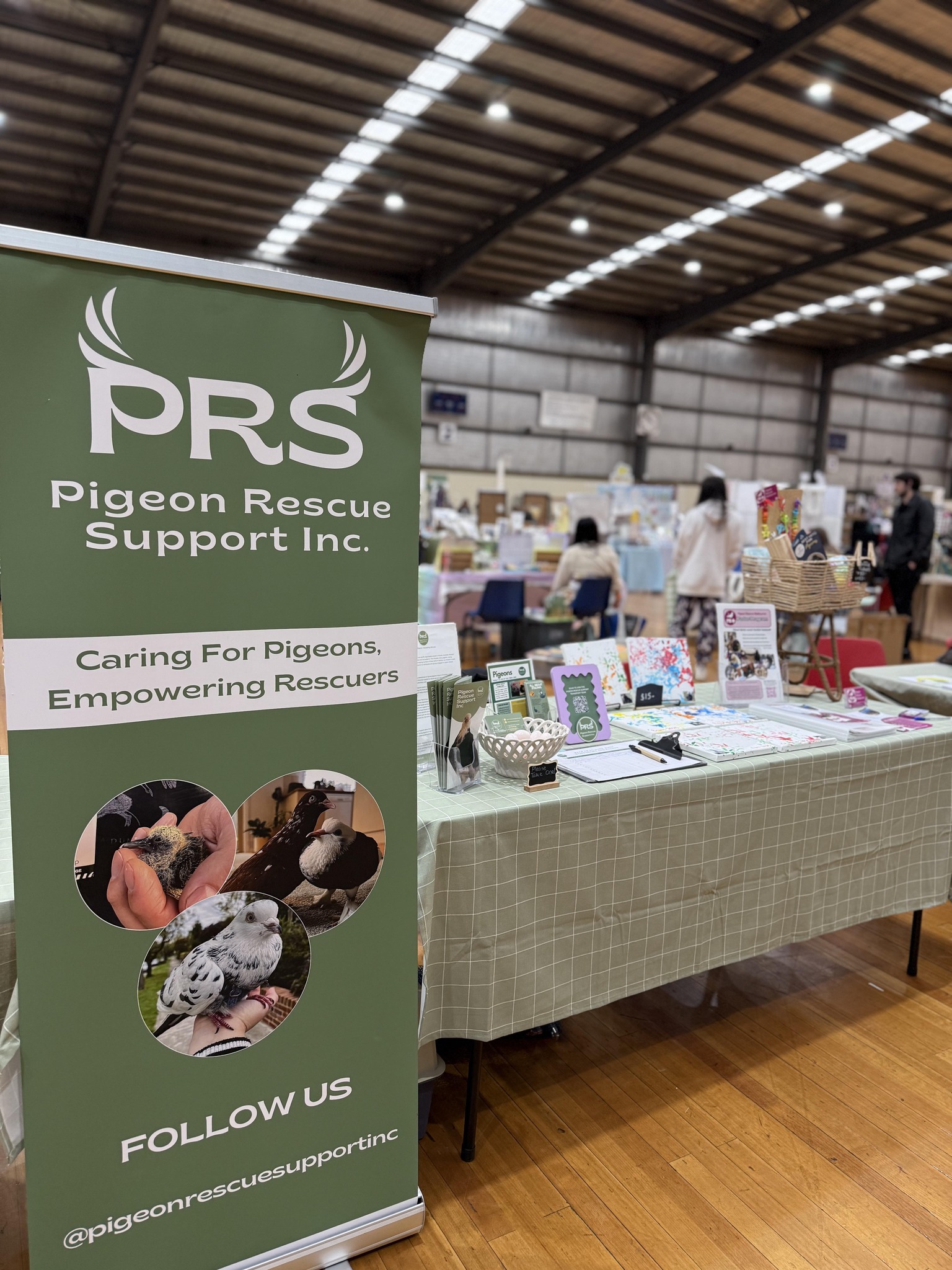 Pigeon Rescue Support Inc | Melbourne VIC