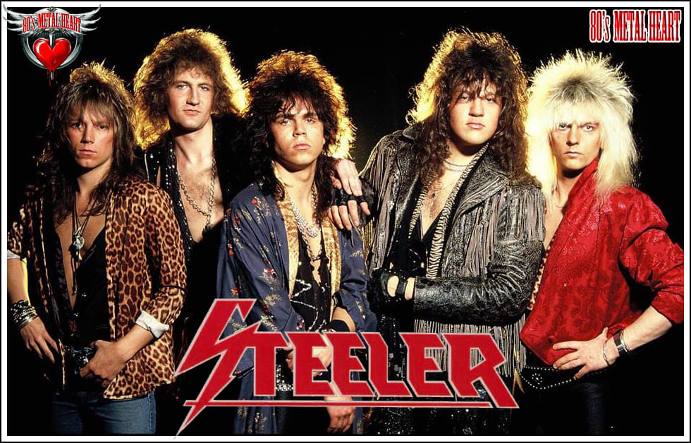 STEELER UNDERCOVER ANIMAL from album 
