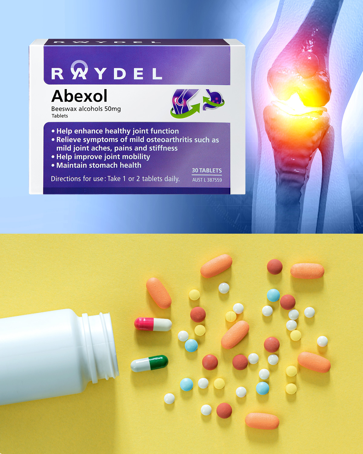 Raydel Australia
