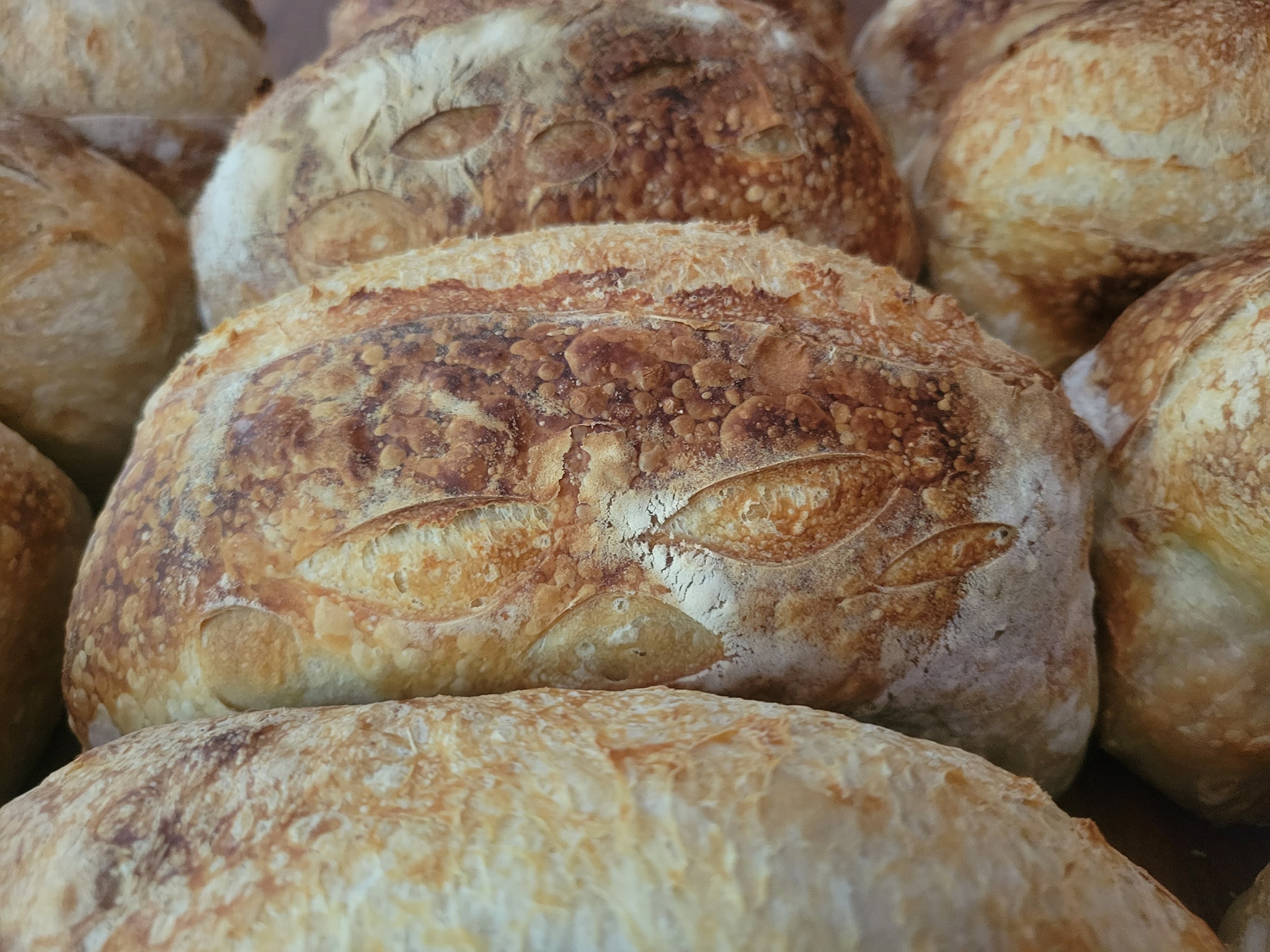 Simply Risen Sourdough Co. | Guysville OH
