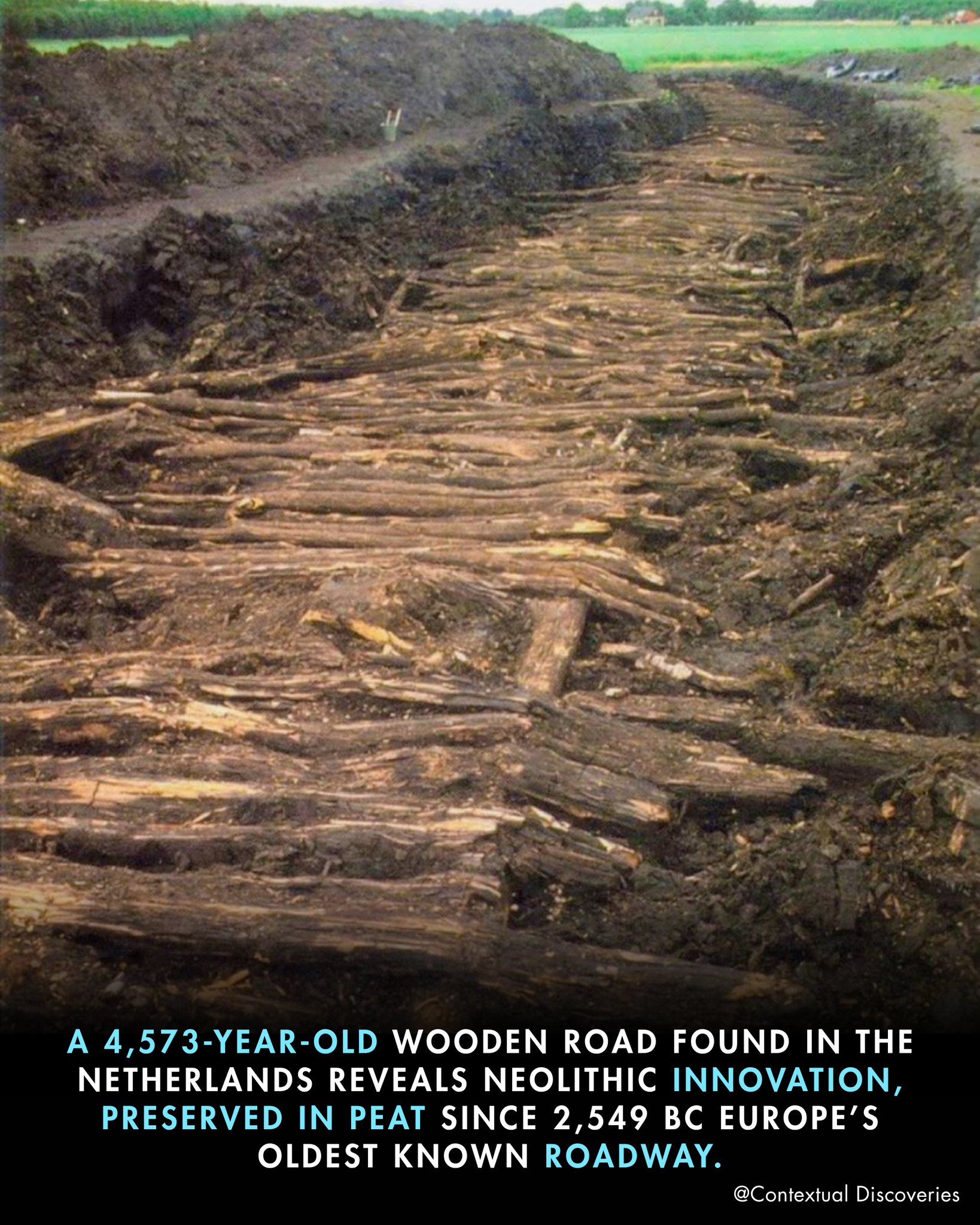 Contextual - In the 1980s, archaeologists made a groundbreaking ...