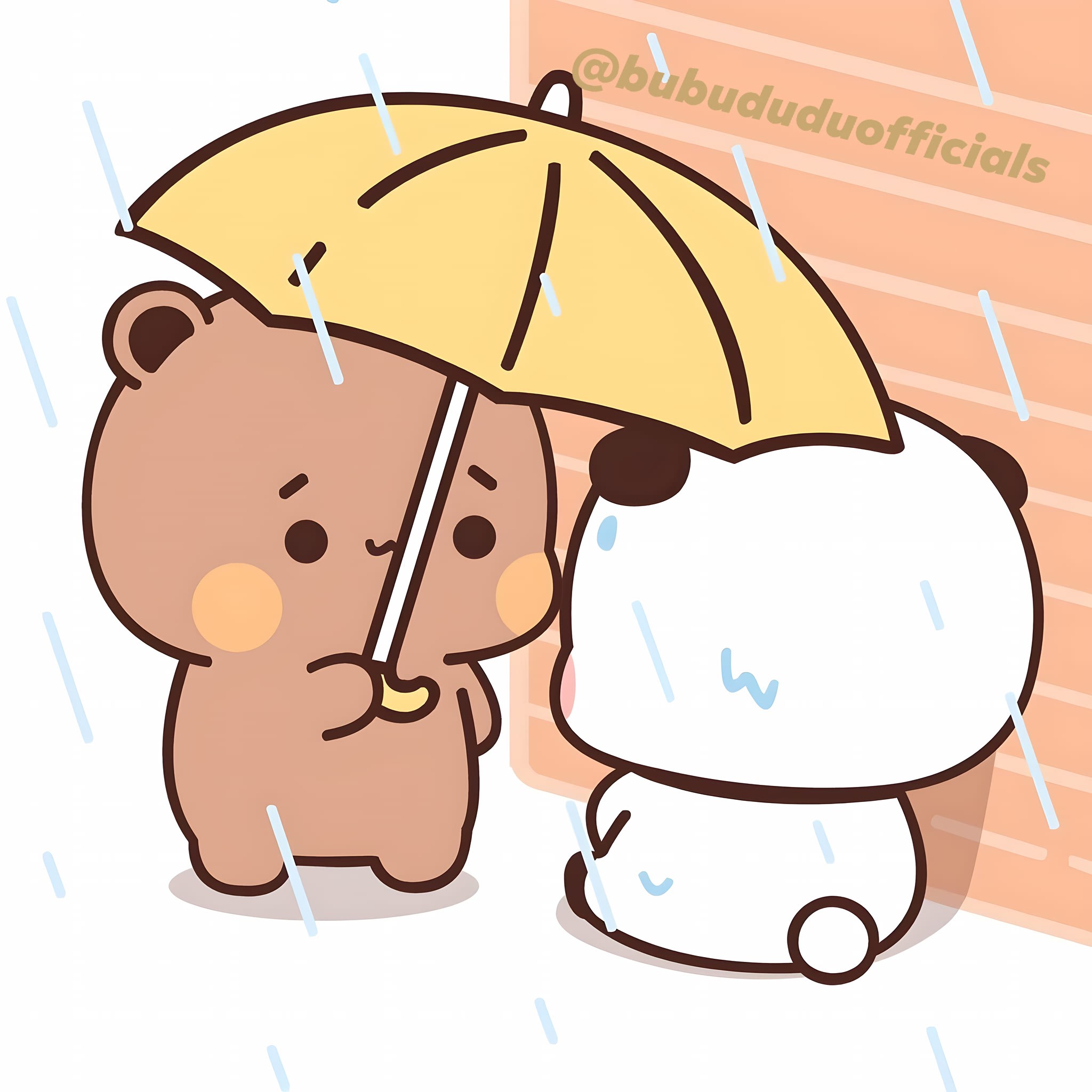 BUBU DUDU - Rain poured endlessly that day 🌧️… Bubu sat... | Facebook