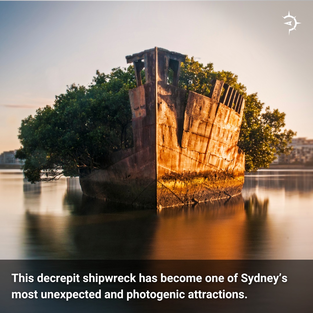 Atlas - This decrepit shipwreck has become one of Sydney’s most ...
