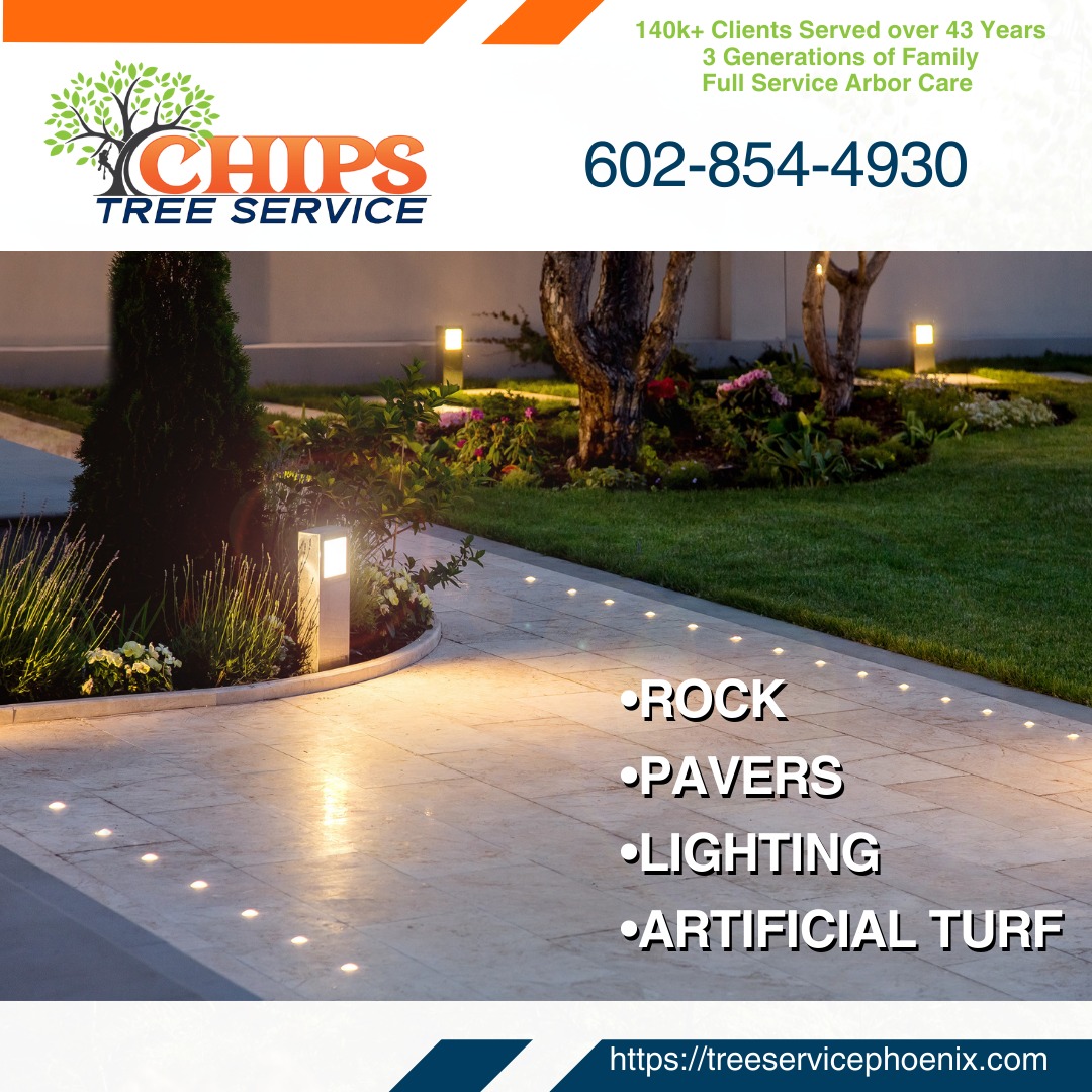 🌿 Transform Your Outdoors with Chips... - Chips Tree Service