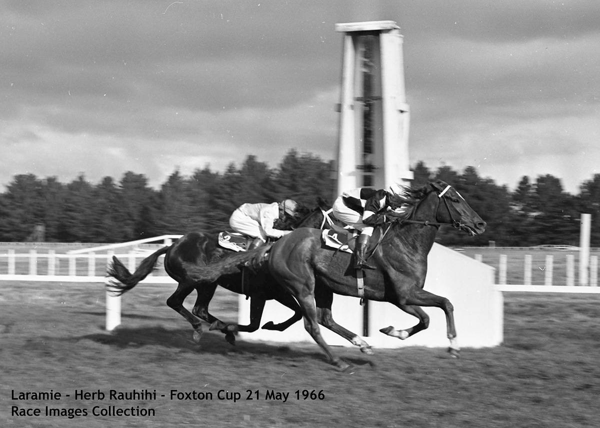 Race Images NZ