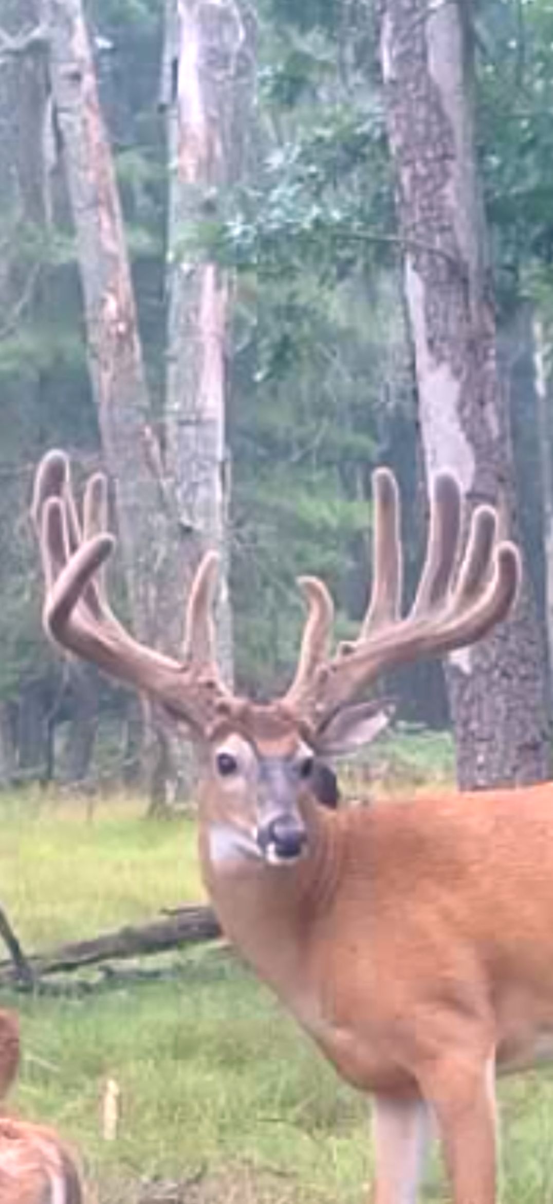 Crooked Tine Ranch