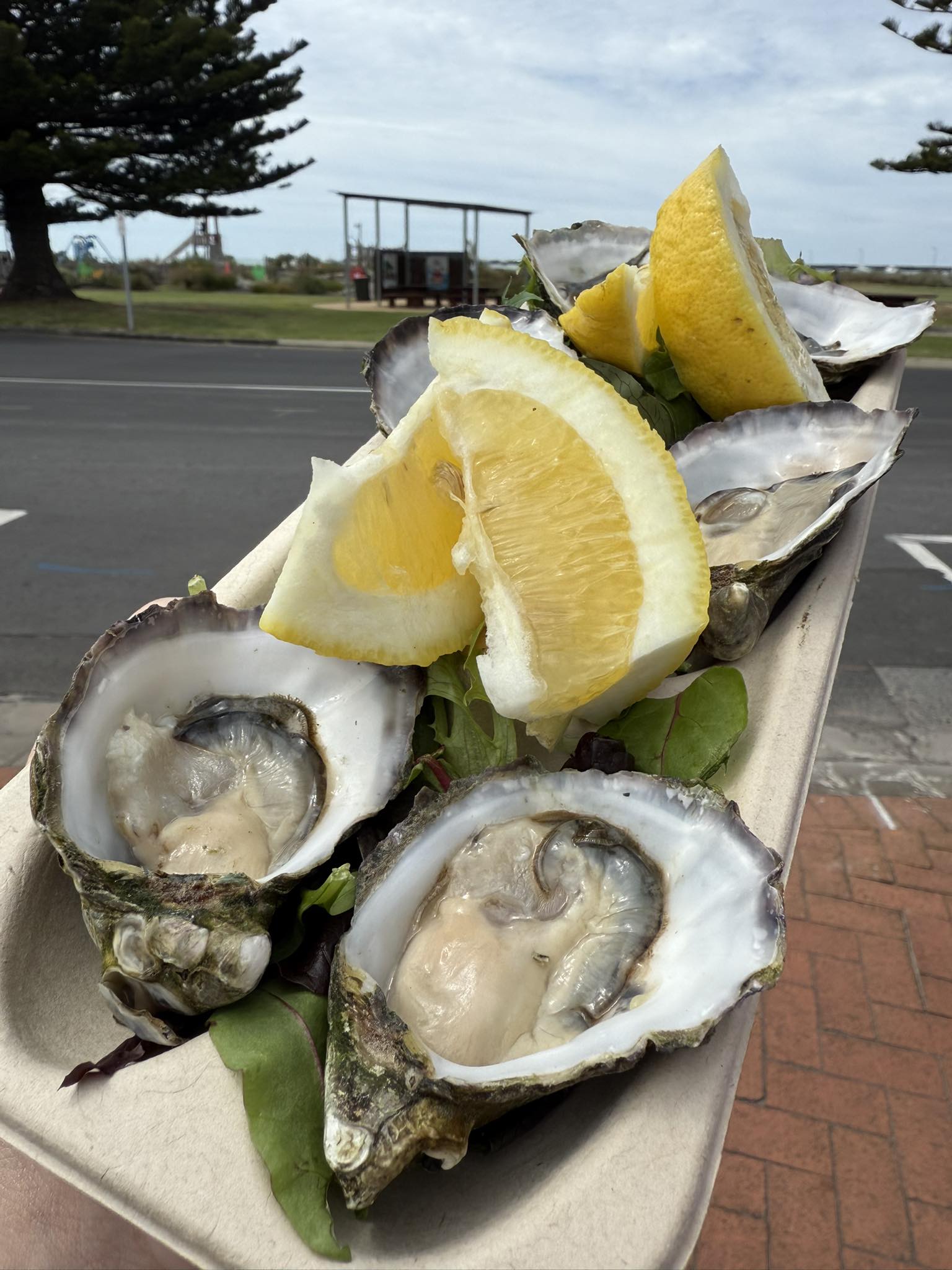 Parade Fish & Chip Shop | Port MacDonnell SA