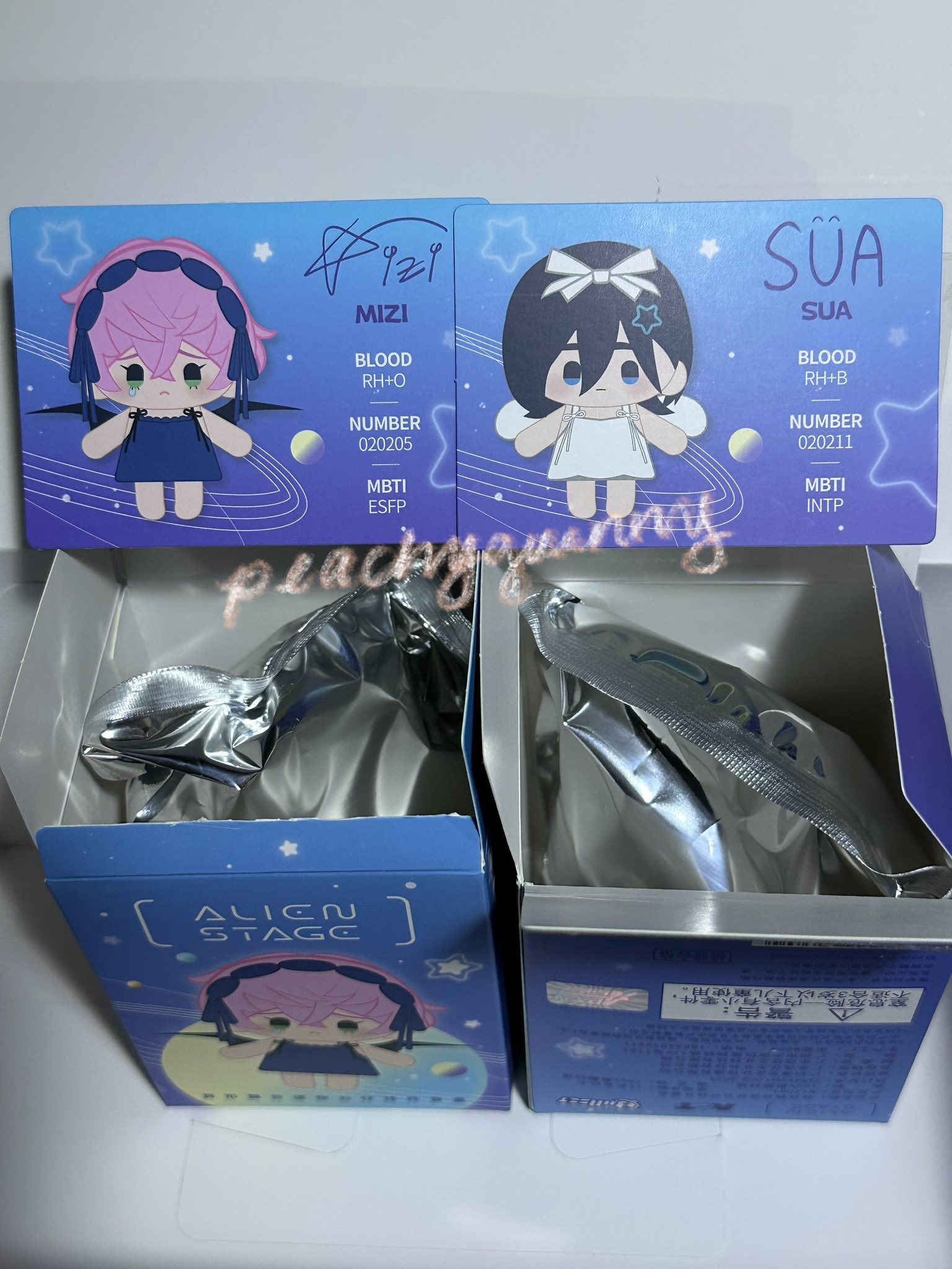INSTOCK ‼️ 📌Crazy In Love Concert Official Merchandise Zee Nunew