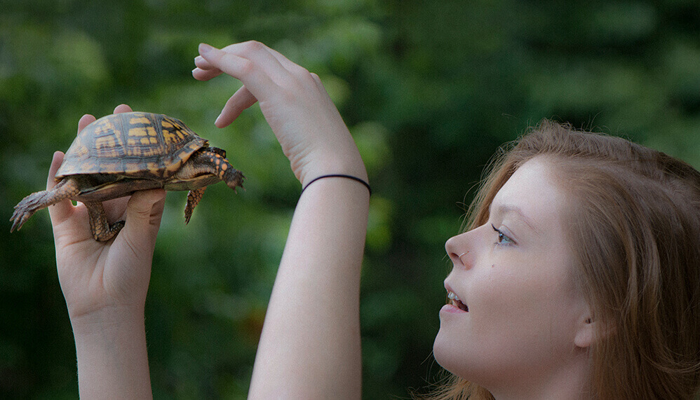 Pal'Carey- Sea... - Pal'Carey- Sea Turtles Conservation Group
