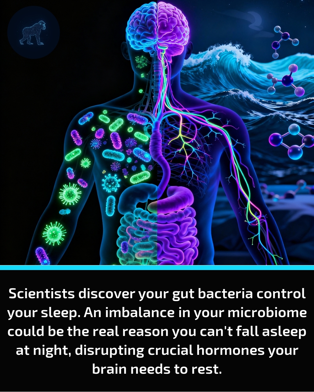 Evolved - Your sleepless nights might not be a bedroom problem at all ...