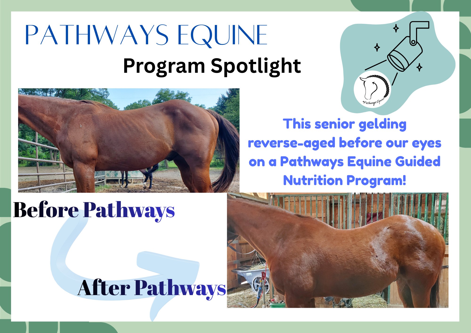 Pathways Equine