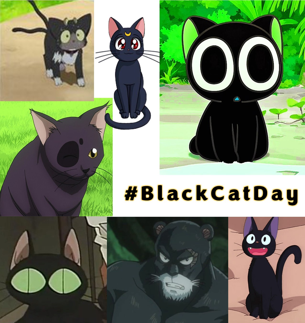 The Black Cats (KuroNeko). Can you name them all? And some