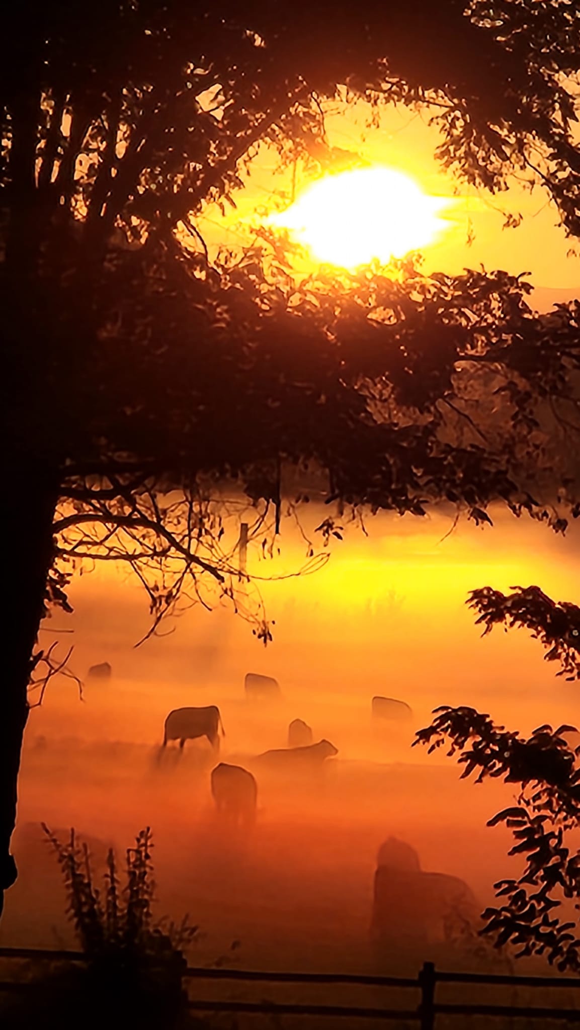 Grant - Good morning Grant County Ranch & Rodeo Museum | Facebook