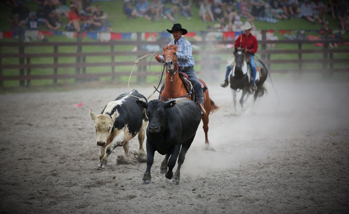 The Warkworth Rodeo 2026 is... - Warkworth Rodeo 2026 | Facebook