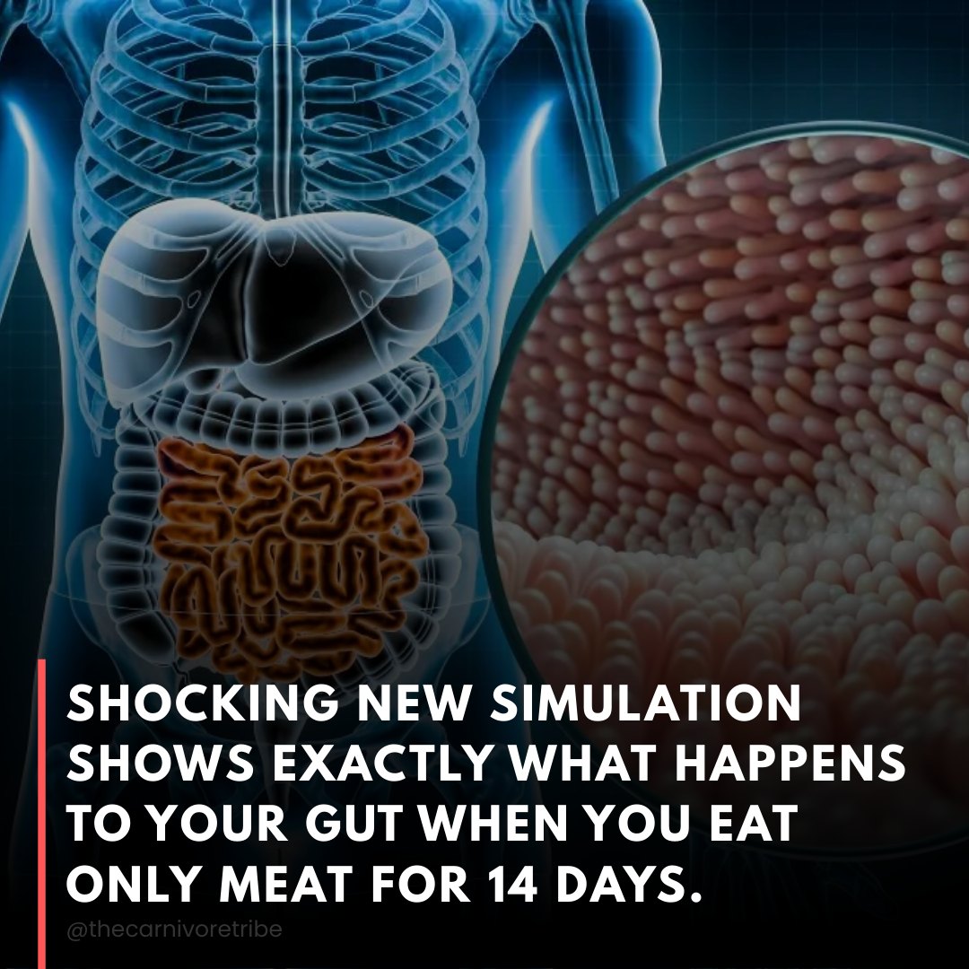 Carnivore - This simulation shows exactly what the text overlay ...
