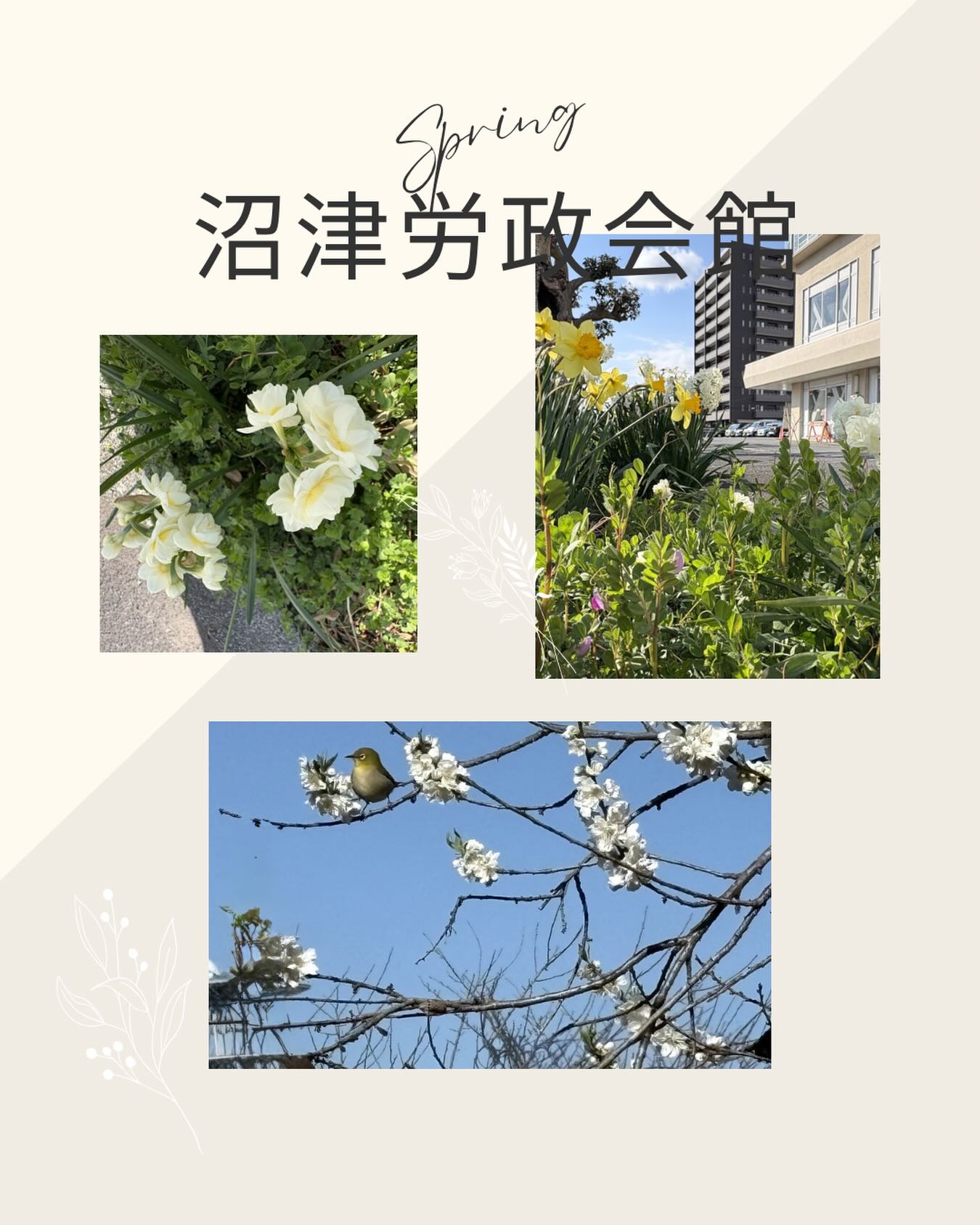 沼津 労政 会館
