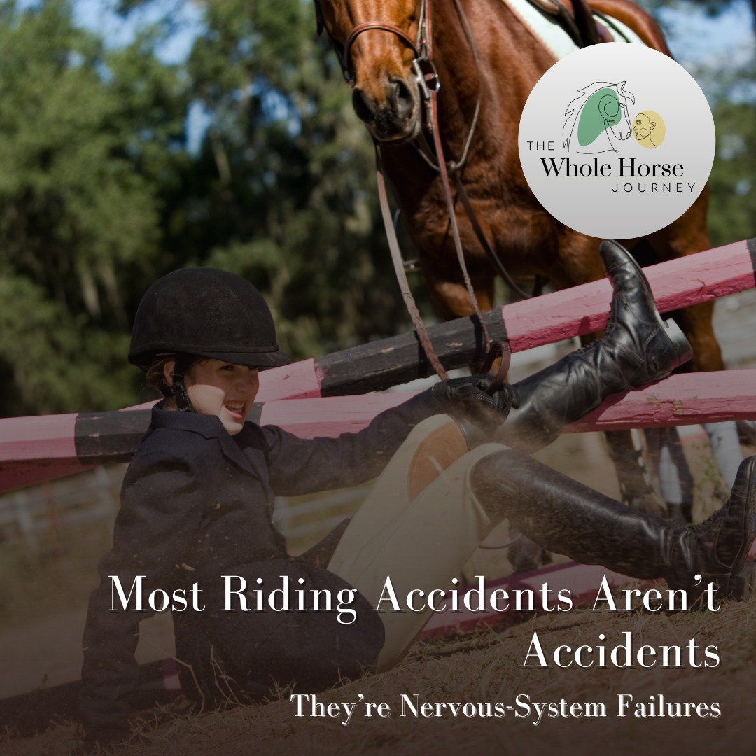 The Whole - There is a hidden variable behind most riding accidents ...