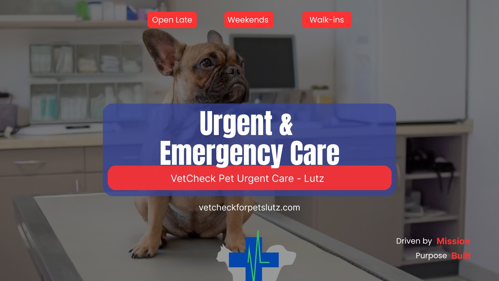 VetCheck Pet Urgent Care Center - Lutz | Lutz FL