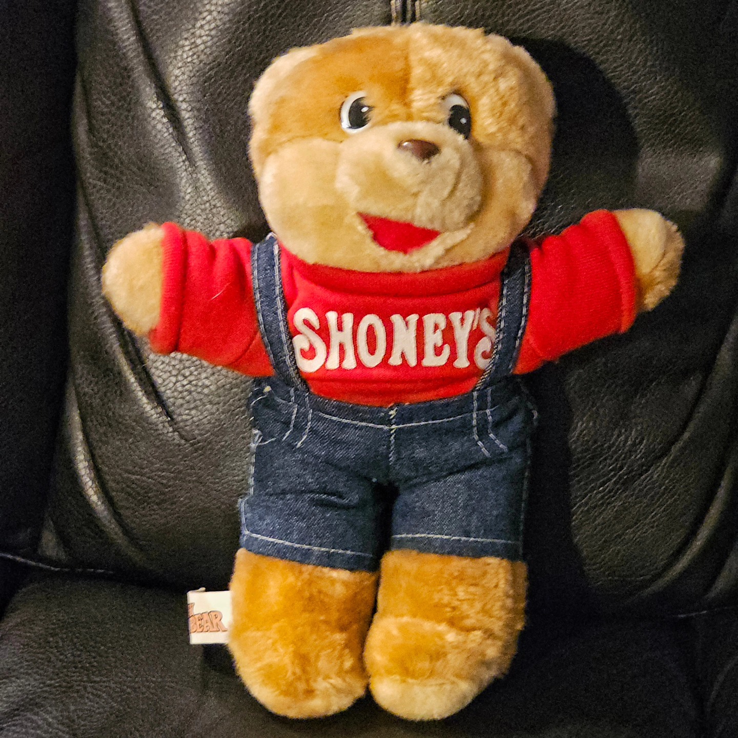 Our legendary Shoney Bear® plush is available to bring home with