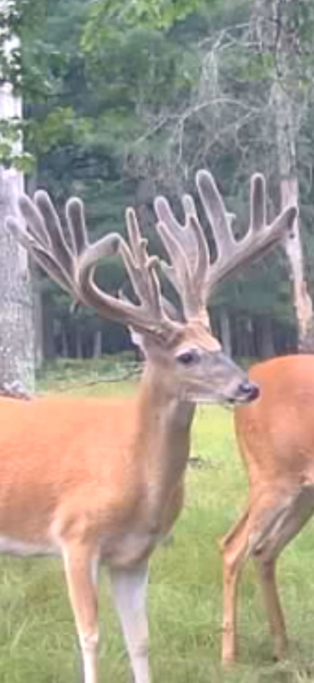 Crooked Tine Ranch