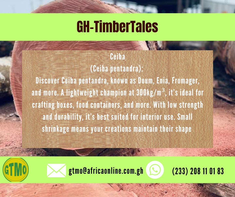 Ghana Timber Millers Organization | Kumasi