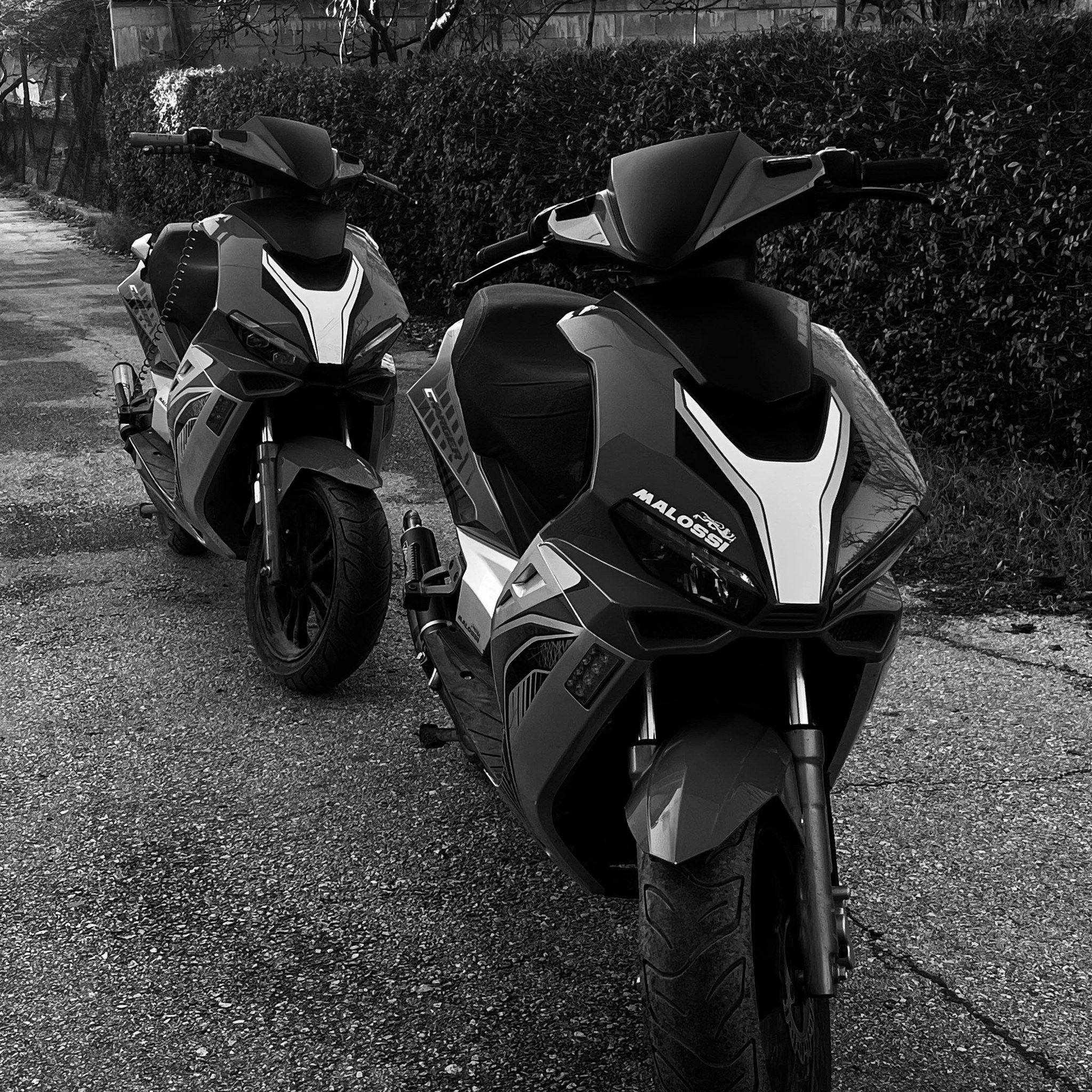 BIKES AND PARTS MACEDONIA (ВЕЛОСИПЕДИ И ДЕЛОВИ МАКЕДОНИЈА) | Ponudete ...