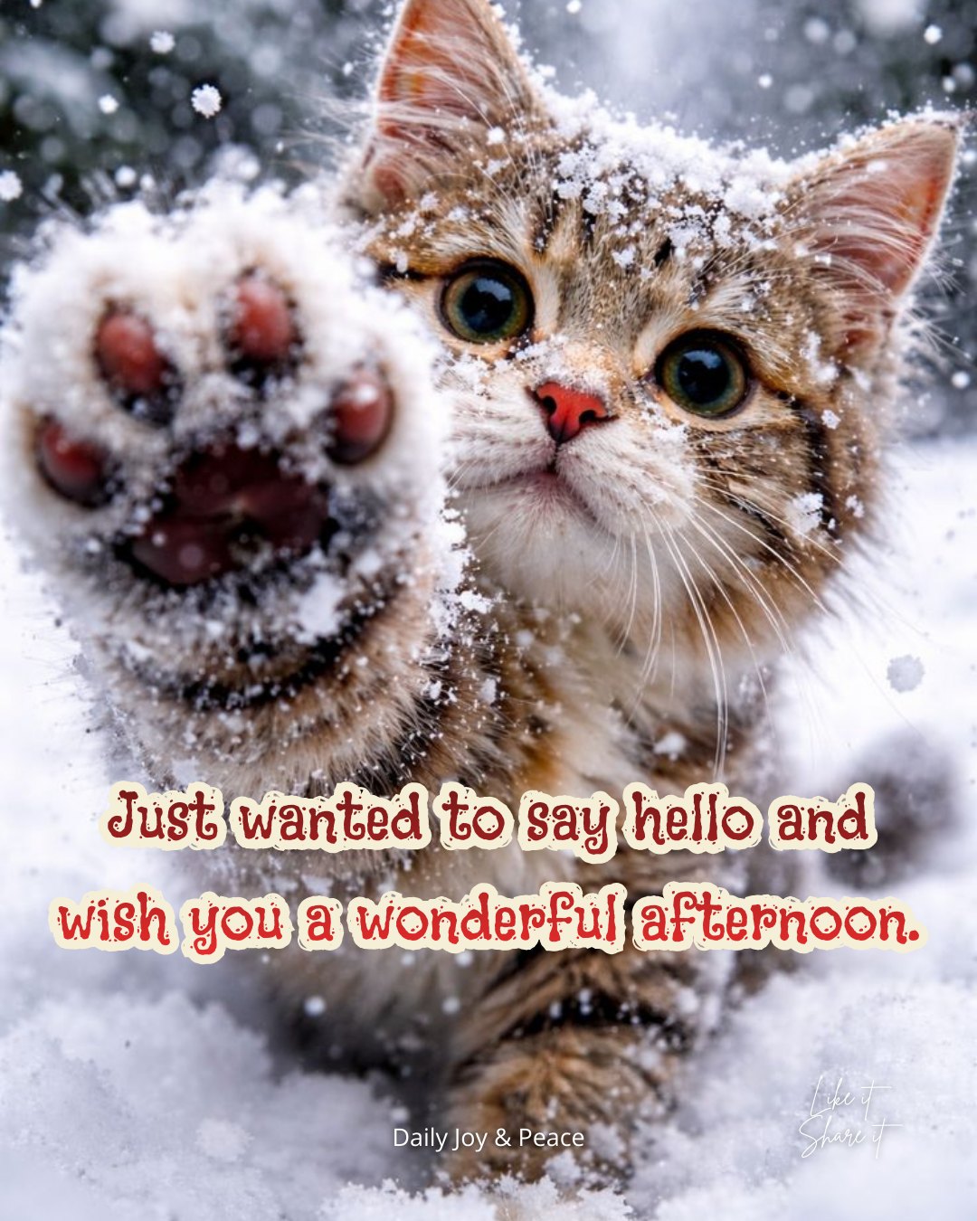 Daily - Just wanted to say hello and wish you a wonderful afternoon ...
