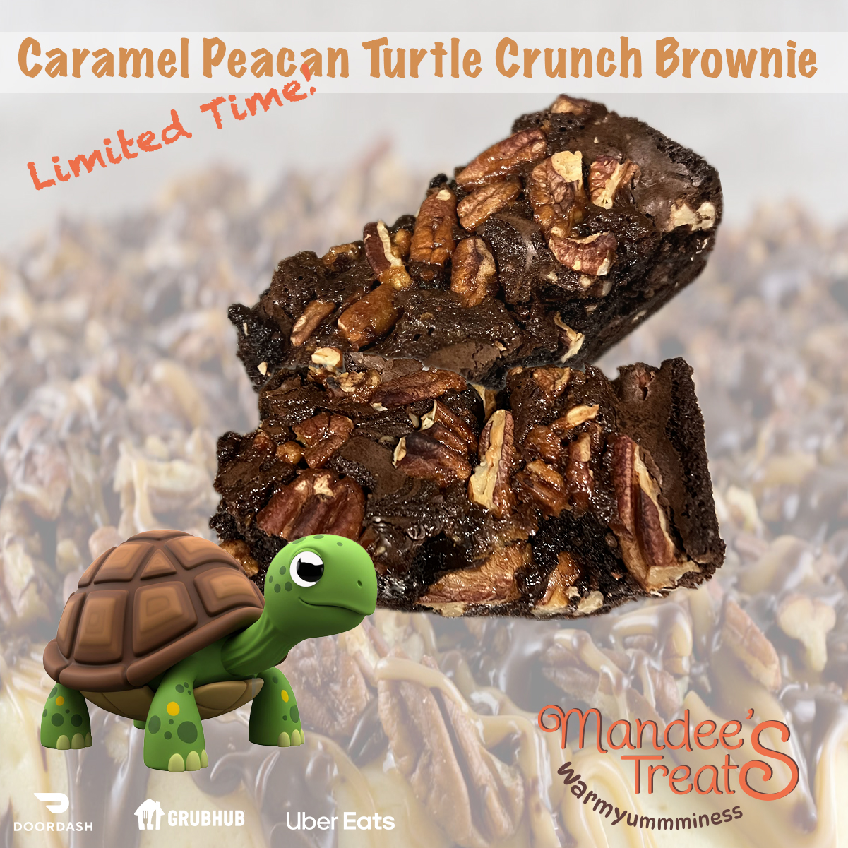 Mandees Treats - 🐢🍫 Meet our NEW LIMITED Caramel Peacan... | Facebook